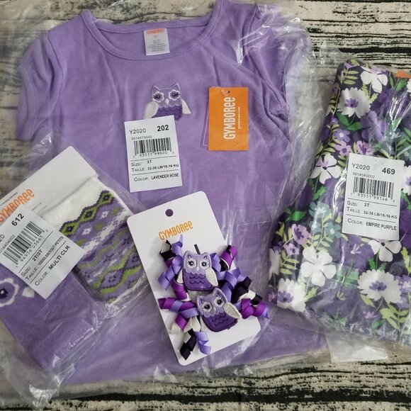 Gymboree Whooo's Cute 3T Leggings Owl Shirt Hair Curly Clips Outfit NWT - Picture 1 of 4